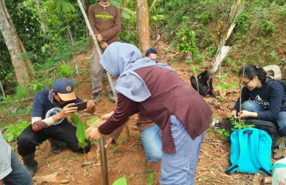 PENELITIAN KONDISI TANAH OLEH MAHASISWA UGM